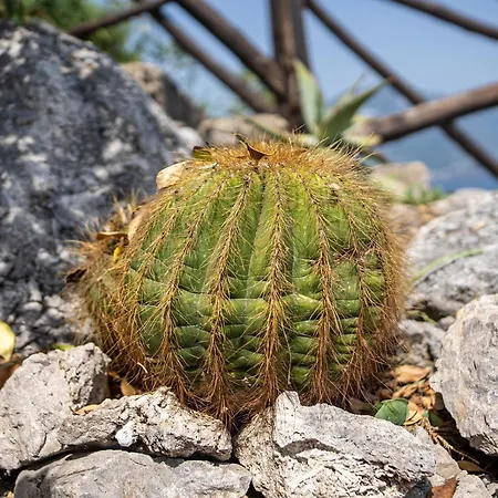 Tenuta Dell'al.ma. Amalfi