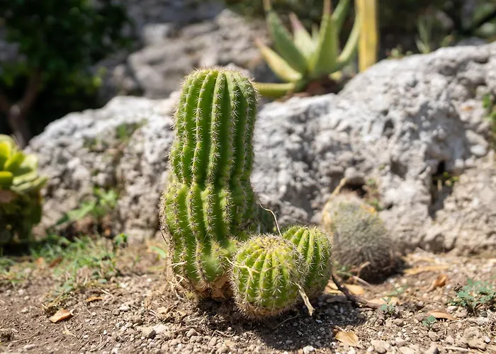 Tenuta Dell'al.ma. Guest house 3*