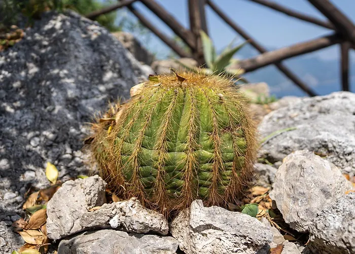 Tenuta Dell'al.ma. Amalfi